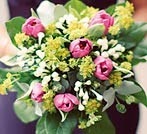 Val Hamilton Wedding Flowers 1088508 Image 5